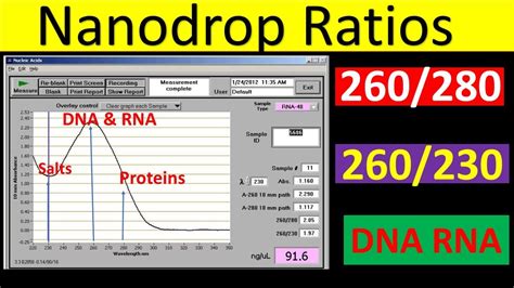 260/280 and 260/230 Ratios .